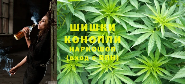 гашик Балахна