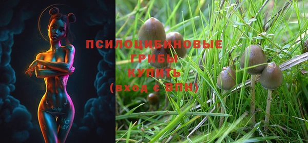 марки nbome Балабаново