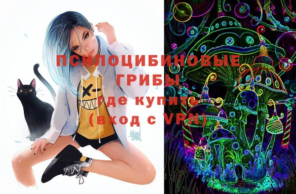 прущие крисы Арсеньев