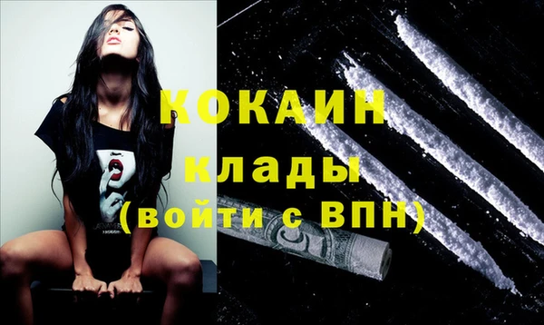 гашик Балахна